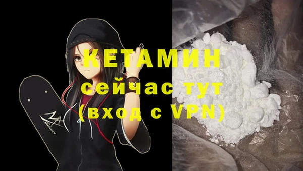 трава Корсаков