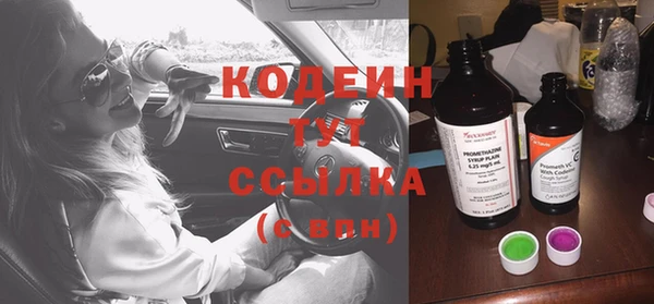 молекула духа Костерёво