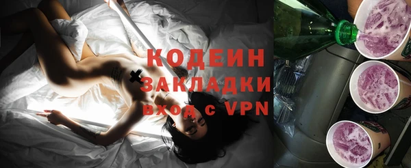 молекула духа Костерёво