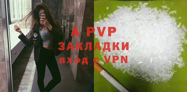 трава Корсаков