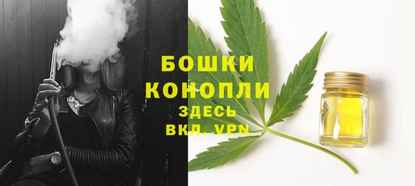 молекула духа Костерёво