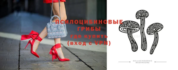 трава Корсаков