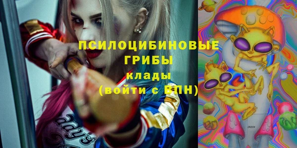 трава Корсаков