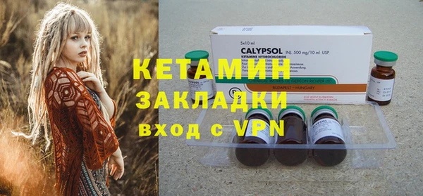 трава Корсаков