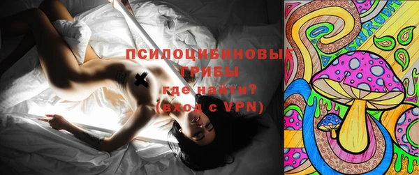 трава Корсаков