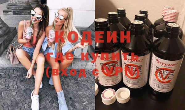трава Корсаков