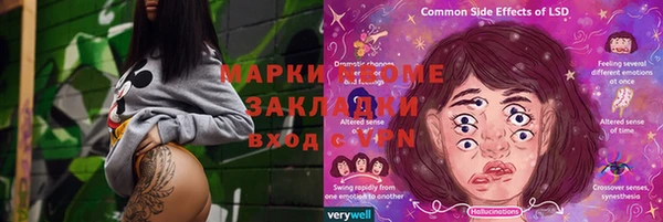 трава Корсаков